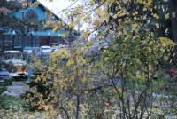 Imagine atasata: alte-19.nov.2017-001.jpg